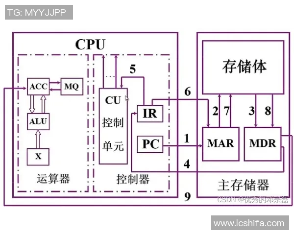 杭州网球队的战术解析与控制体系探讨