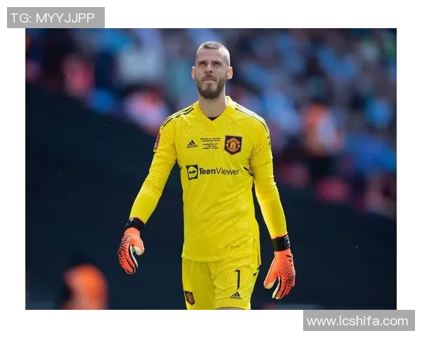 24岁黄头发足球明星的崛起与挑战背后的故事与梦想