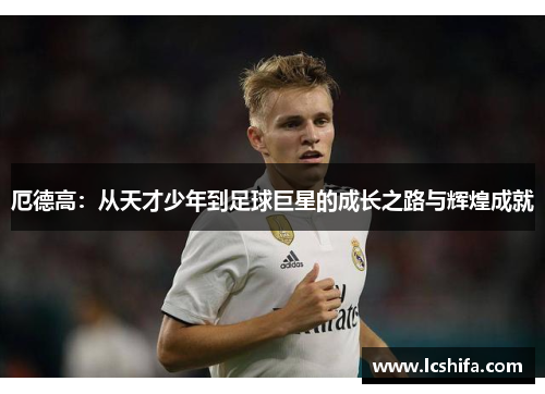厄德高：从天才少年到足球巨星的成长之路与辉煌成就